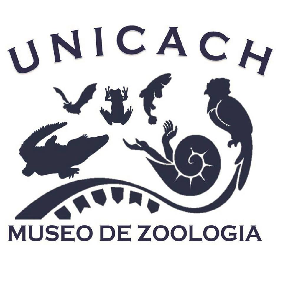 Museo de Zoología