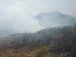 Se continúa operativo emergente para contención y liquidación de incendio en el Parque Nacional Cañón del Sumidero.